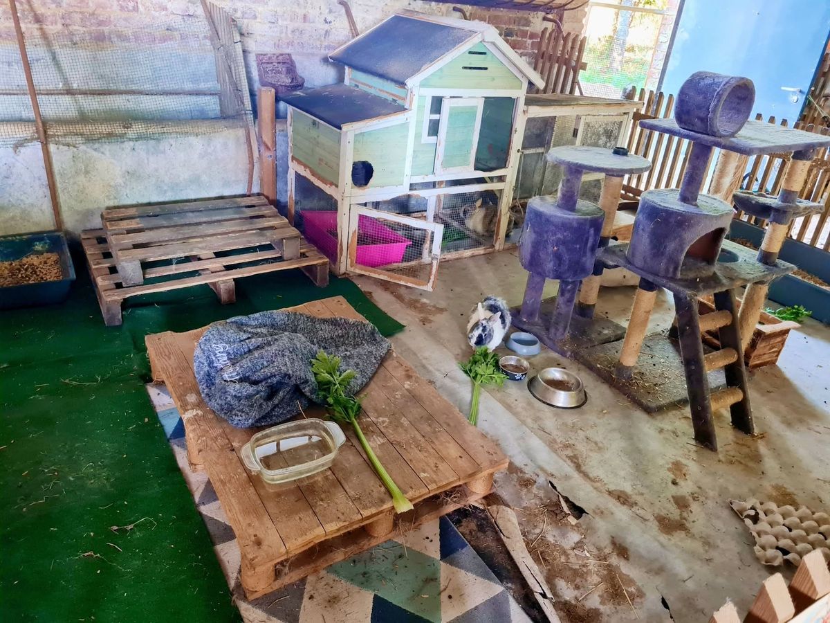 L'abri intérieur des lapins et des chats